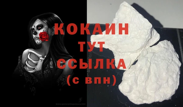 соль курить ск Новозыбков
