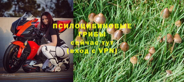 PSILOCYBIN Алексин