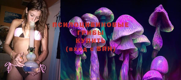 дживик Новокубанск