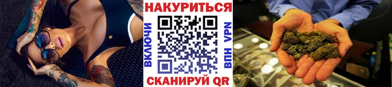 Каннабис сатива  Сунжа 